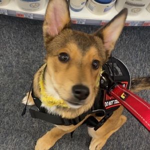 Meet your Posher, Lilly